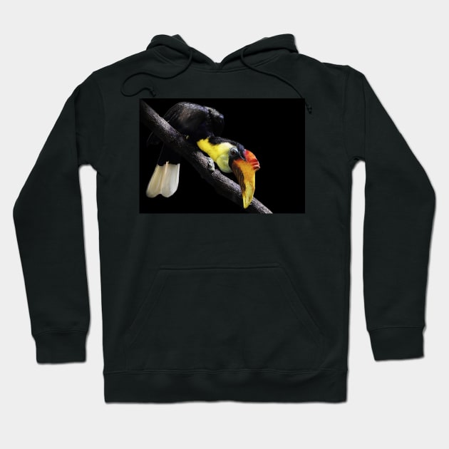 Wrinkled hornbill Hoodie by MinnieWilks